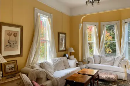 00d8e0b8 51d8 46e7 9264 d1b9c70a5d58.jpeg