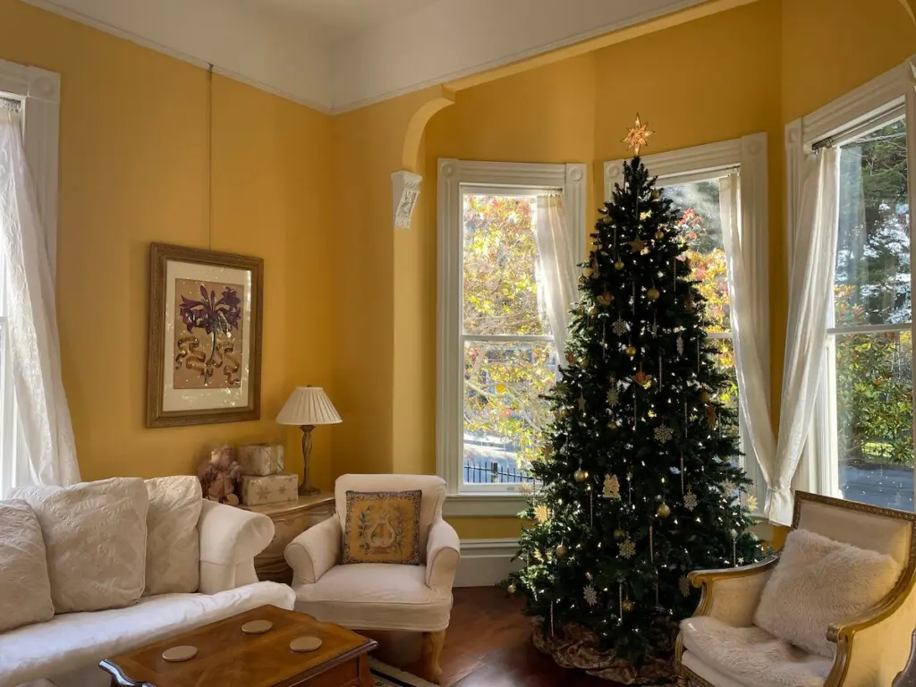 019339d2 7af7 4910 8567 ef3c0a2feeb2.jpeg