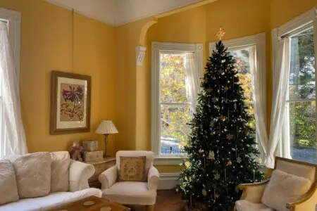 019339d2 7af7 4910 8567 ef3c0a2feeb2.jpeg