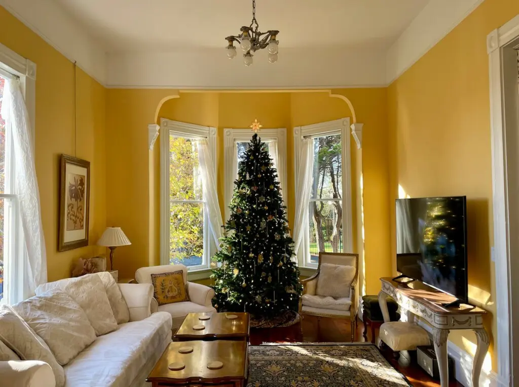 385d44bb 9c4c 47b7 81bd 70736abf97aa.jpeg