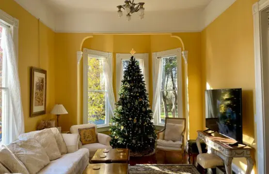 385d44bb 9c4c 47b7 81bd 70736abf97aa.jpeg