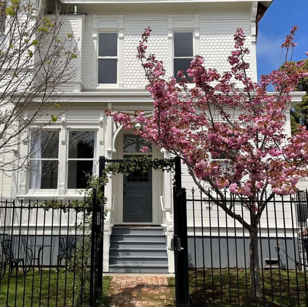 68335997 3f1b 47de 86be 50d4e859f4dd.jpeg